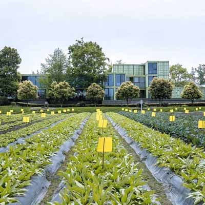 智慧生態(tài)日光溫室種植實(shí)施方案 物聯(lián)網(wǎng)蔬菜大棚整體設(shè)計(jì)方案