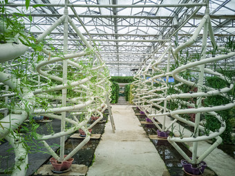 科技賦能現(xiàn)代農(nóng)業(yè) 探析農(nóng)業(yè)種植技術(shù)的創(chuàng)新與發(fā)展