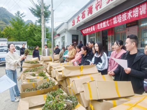 小漿果孕育大產(chǎn)業(yè) 以農(nóng)業(yè)種植技術(shù)開發(fā)驅(qū)動(dòng)鄉(xiāng)村經(jīng)濟(jì)新增長